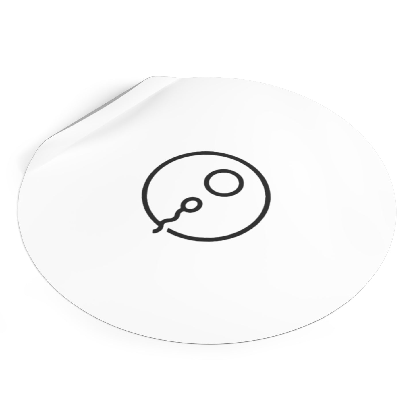 Round Vinyl Stickers